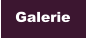 Galerie